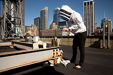 Ace Hotel roof, Manhattan