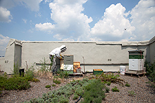 Brooklyn Grange Rooftop Farm, Long Island City