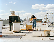 Greenpoint, Brooklyn